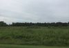 18003 Van Rd. photo